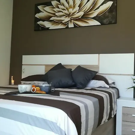 Quiet Modern Duplex